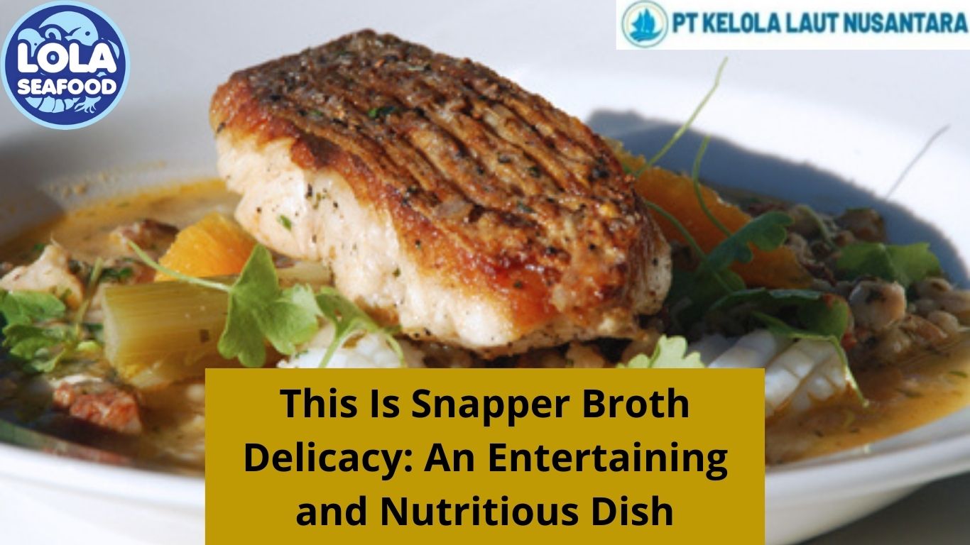 This Is Snapper Broth Delicacy: An Entertaining and Nutritious Dish